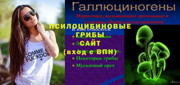 метадон Зеленодольск