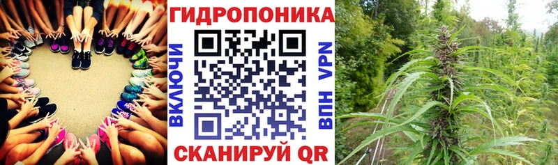 Шишки марихуана гибрид  Купить закладки  Глазов 